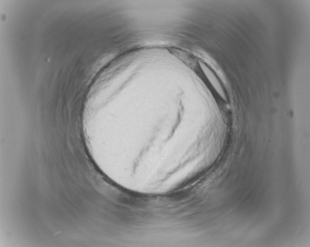 X0000074970385200609291943