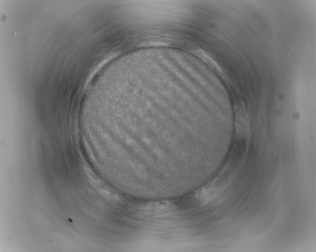 X0000074970386200609291943