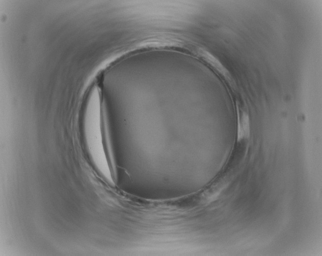 X0000074970387200609291943