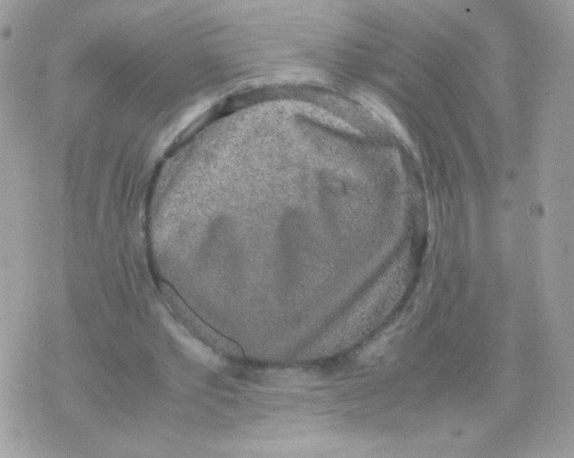 X0000074970389200609291943