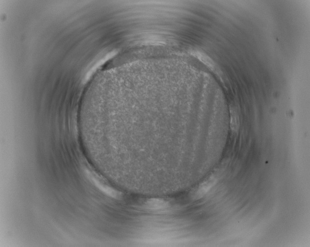 X0000074970390200609291943