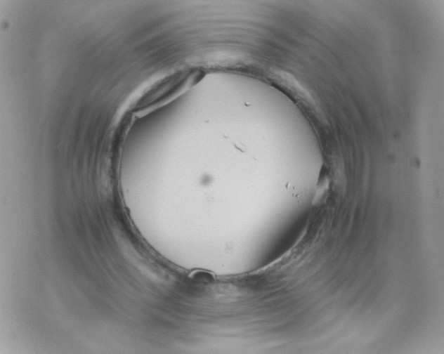 X0000074970392200609291943