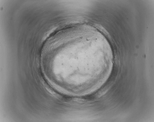 X0000074970393200609291943