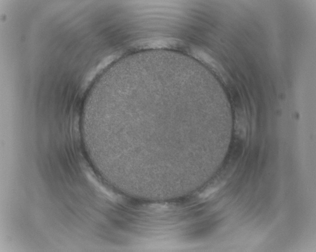 X0000074970394200609291943