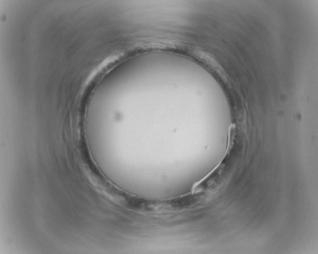 X0000074970395200609291943