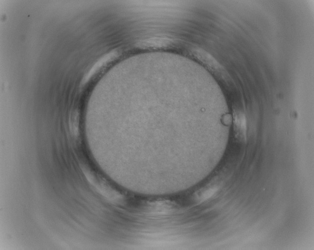 X0000074970396200609291943