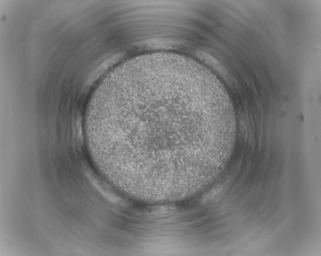 X0000074970398200609291943