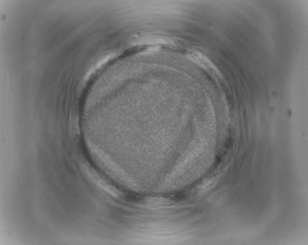 X0000074970399200609291943