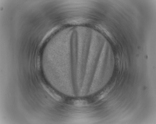 X0000074970400200609291943