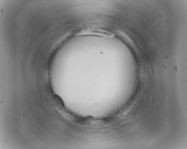 X0000074970401200609291943