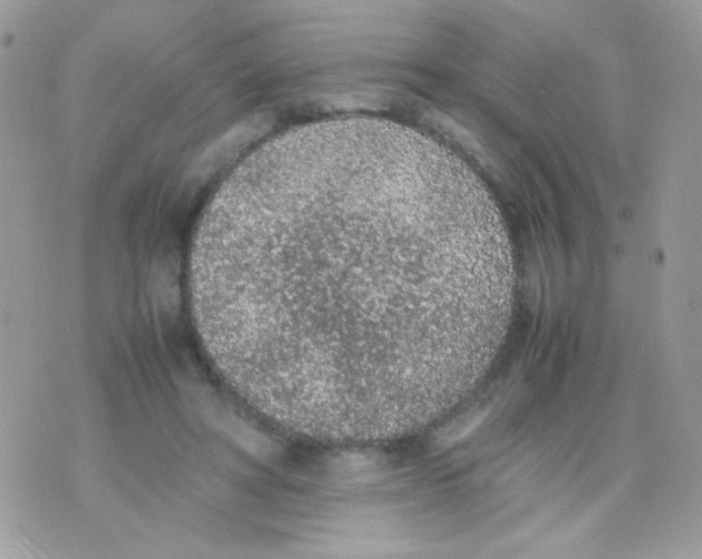 X0000074970402200609291943