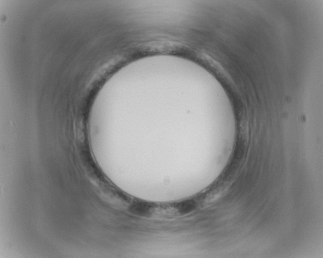 X0000074970403200609291943