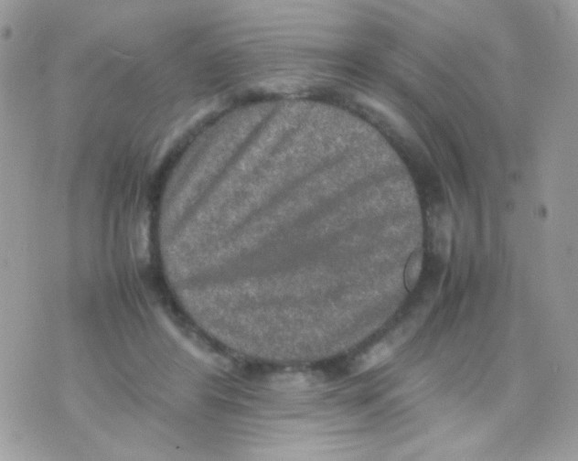 X0000074970404200609291943