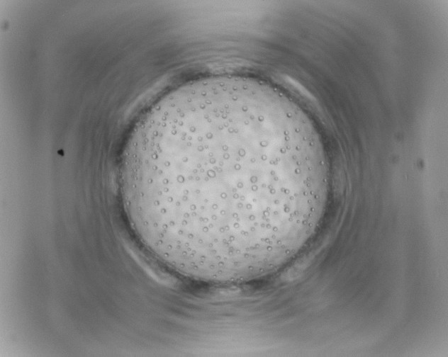 X0000074970405200609291943