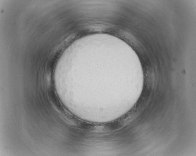 X0000074970406200609291943