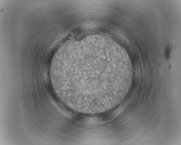 X0000074970408200609291943