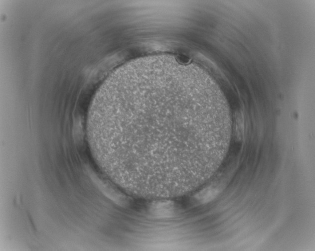 X0000074970410200609291943