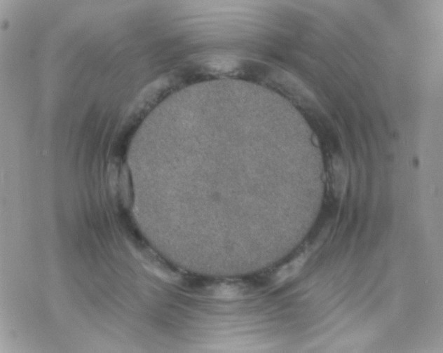 X0000074970412200609291943