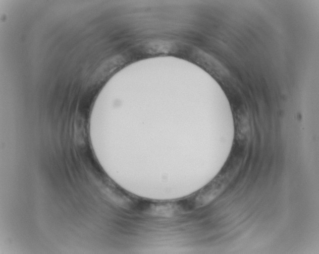 X0000074970414200609291943