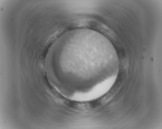 X0000074970415200609291943