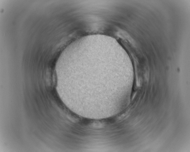 X0000074970416200609291943