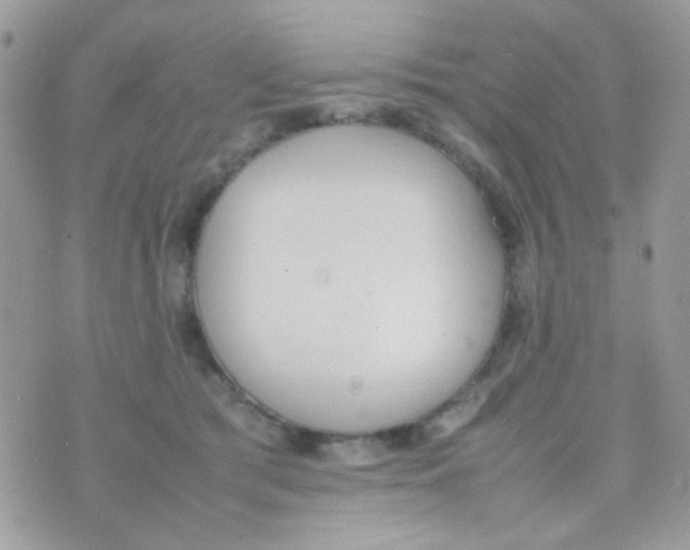 X0000074970417200609291943