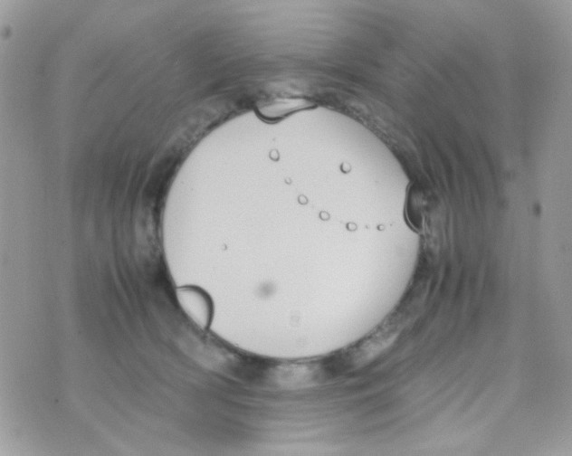 X0000074970418200609291943