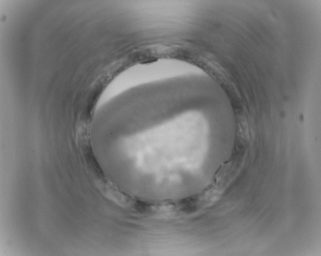 X0000074970419200609291943