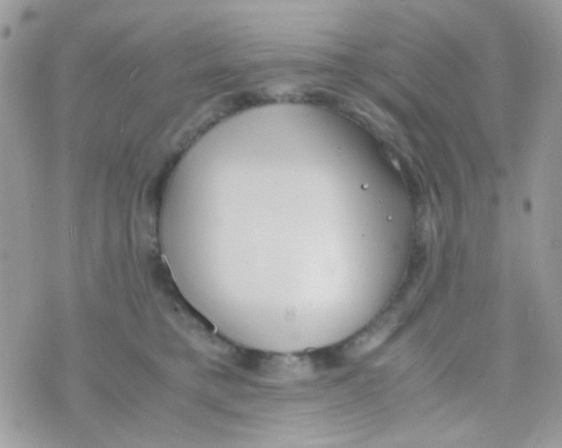 X0000074970421200609291943