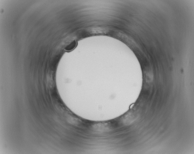 X0000074970422200609291943