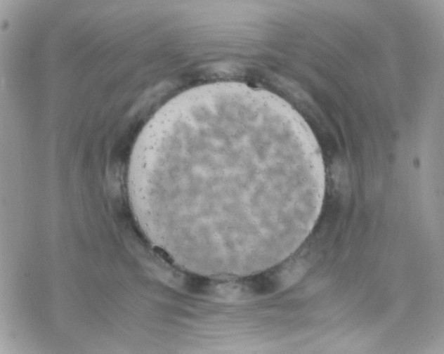 X0000074970423200609291943