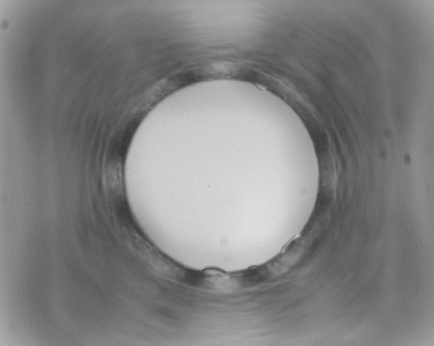 X0000074970425200609291943