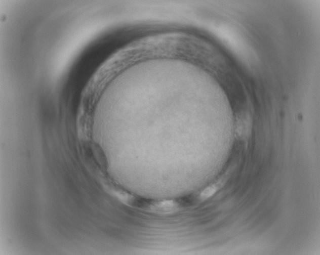 X0000074970431200609291943