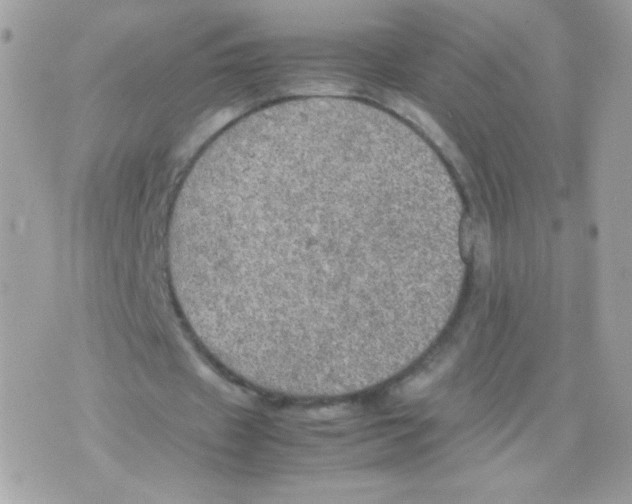 X0000074970433200609291942