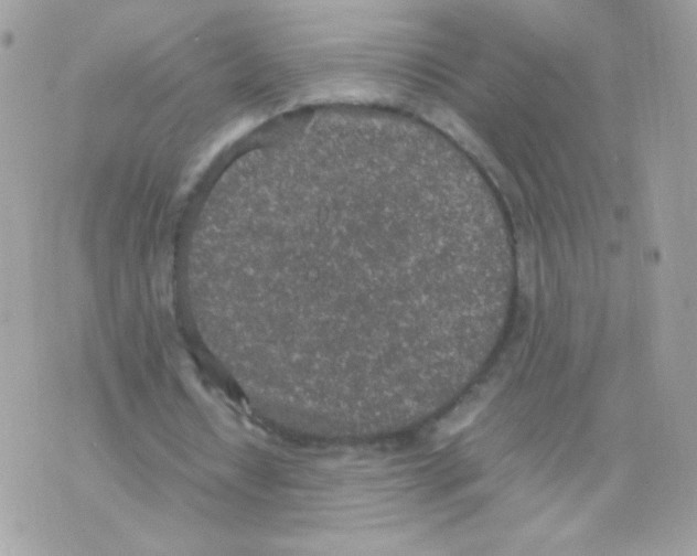 X0000074970434200609291942