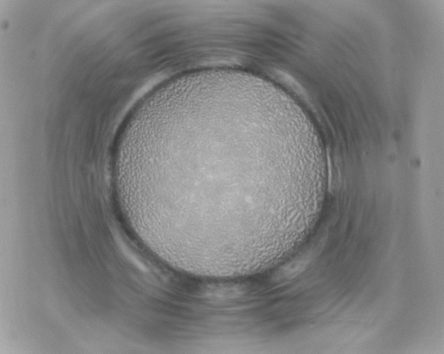 X0000074970435200609291942