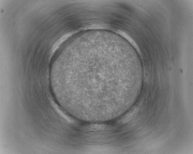 X0000074970437200609291942