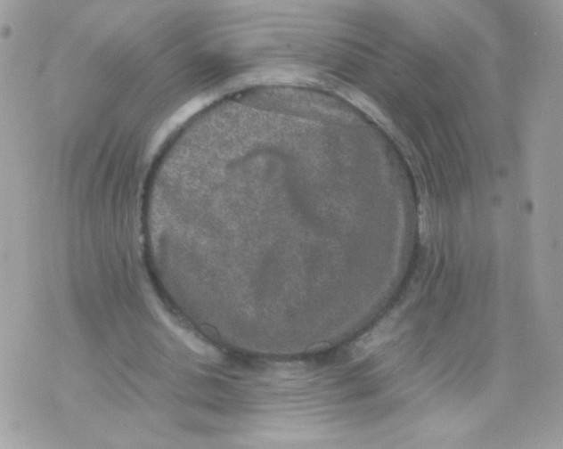 X0000074970438200609291942