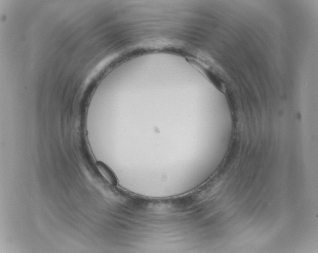 X0000074970440200609291942