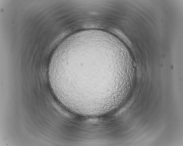 X0000074970441200609291942