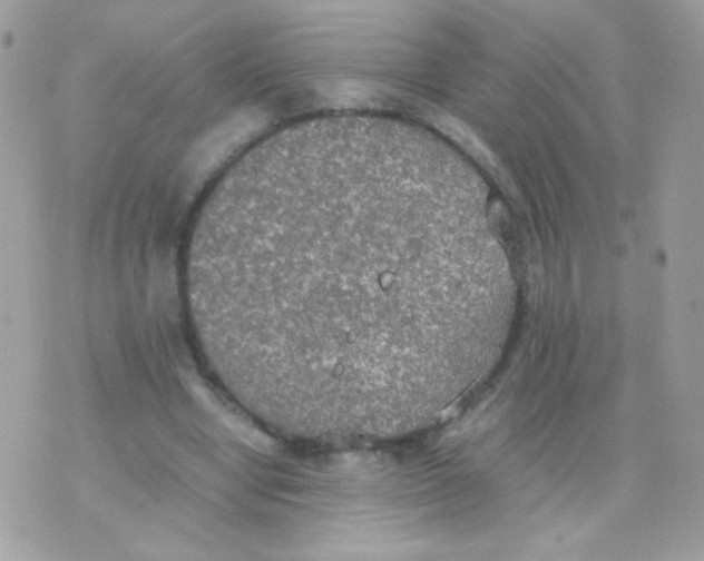 X0000074970442200609291942