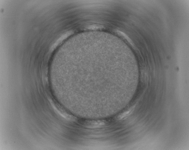 X0000074970443200609291942