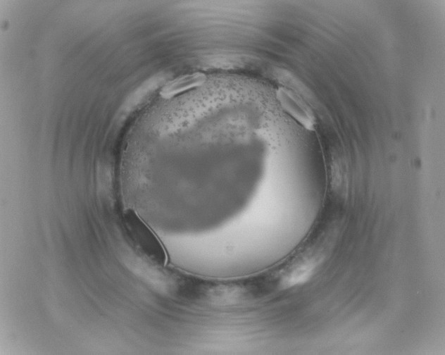 X0000074970444200609291942