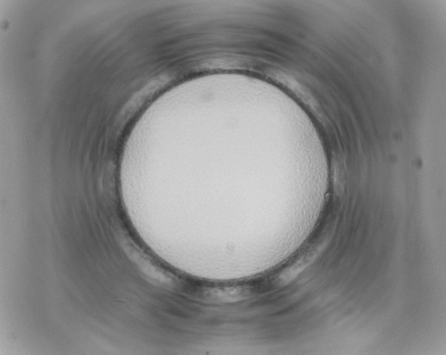 X0000074970445200609291942