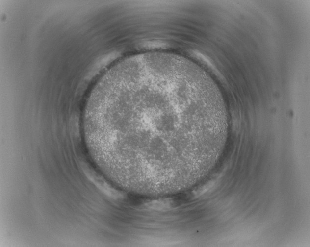 X0000074970447200609291942