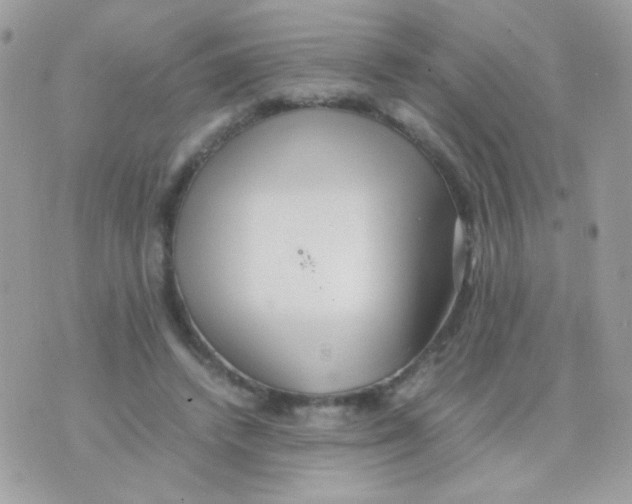 X0000074970448200609291942