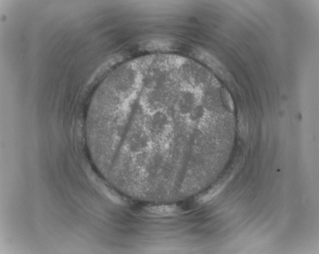 X0000074970449200609291942