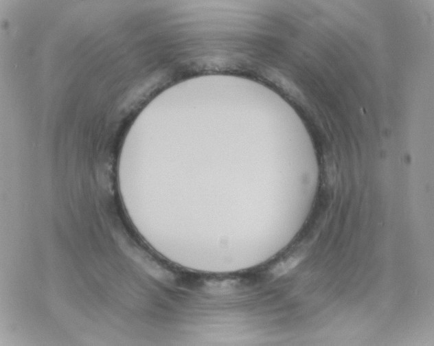 X0000074970450200609291942