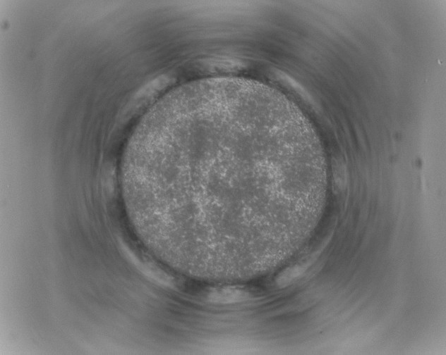 X0000074970451200609291942