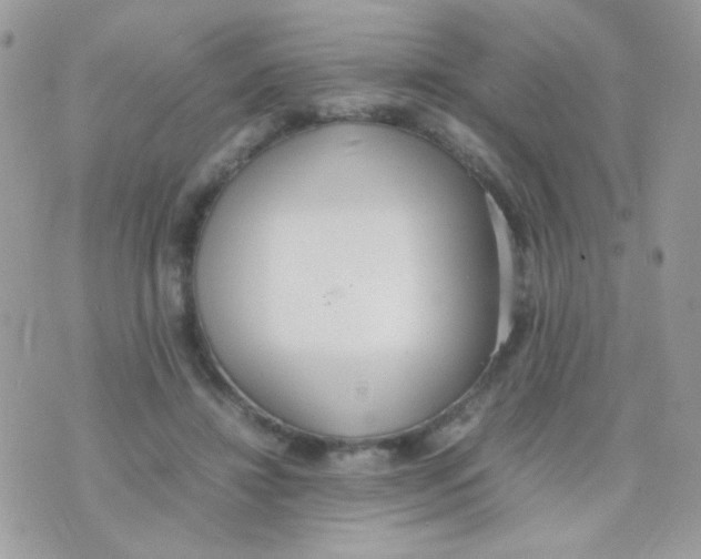 X0000074970452200609291942